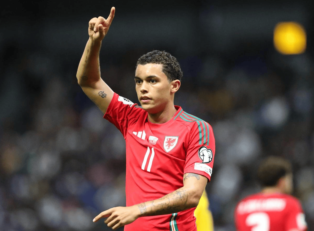 世预赛:1-0,33岁伯恩茅斯旧将制胜,威尔士登顶+甩比利时6分